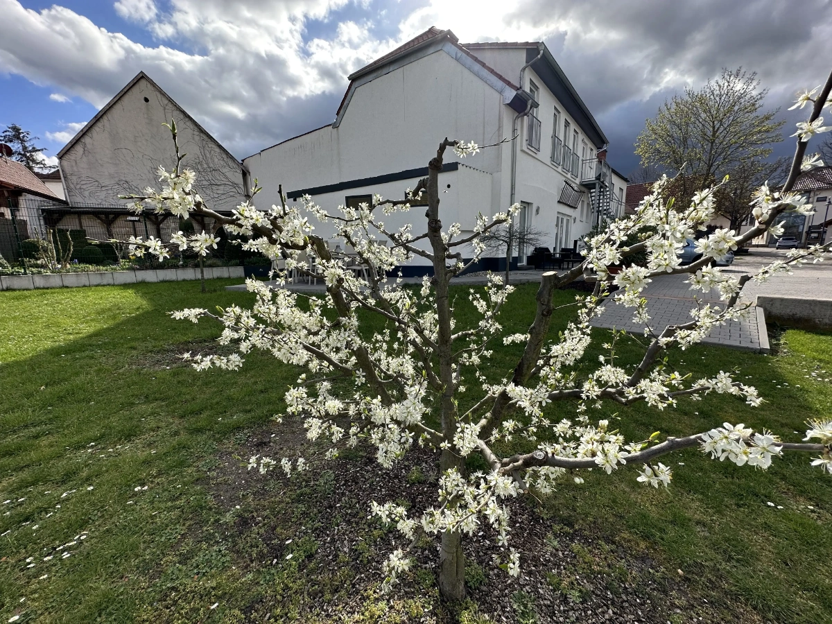 Ferienhaus Koehl Kleinkarlbach - Erdgeschoss Impressionen Bild 5